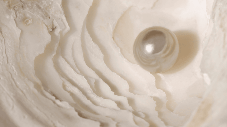 Meeting Digitally as Believers?