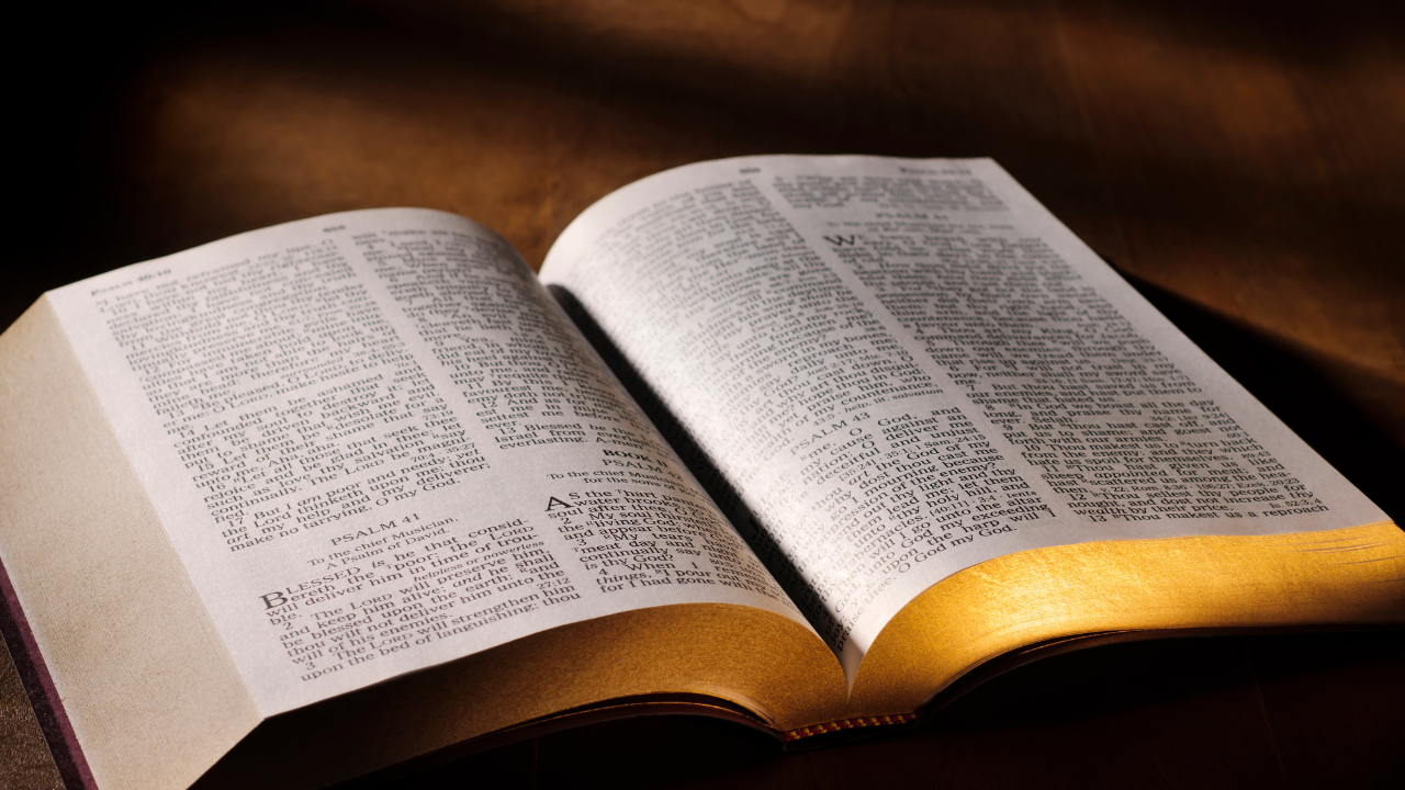 Read: The Gospel of Luke