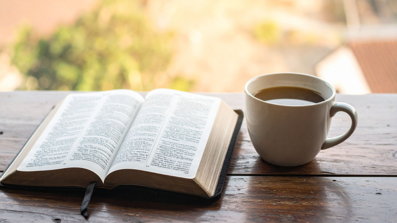 Through the Bible in a year (5-day plan)