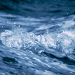 Rejoicing in the waters | Psalm 66:6